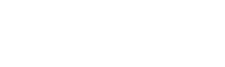 chargerOne